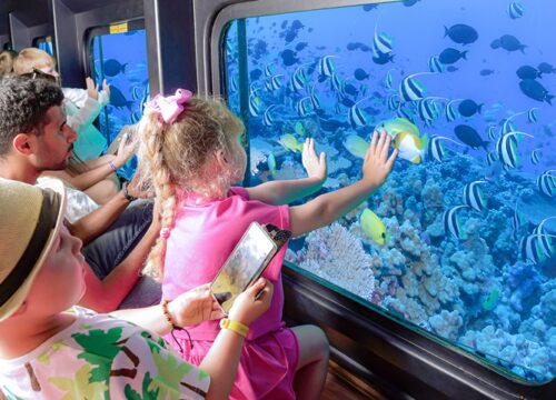 Sea Scope Semi Submarine