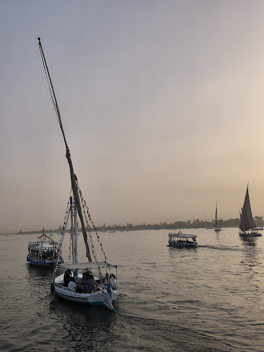 Photo from customer review